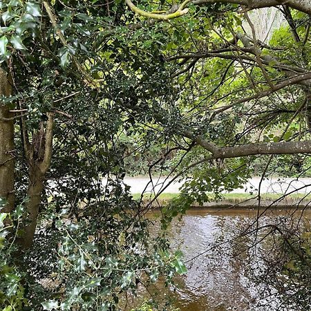 Dee Lodge With Private Hot Tub Llangollen Εξωτερικό φωτογραφία